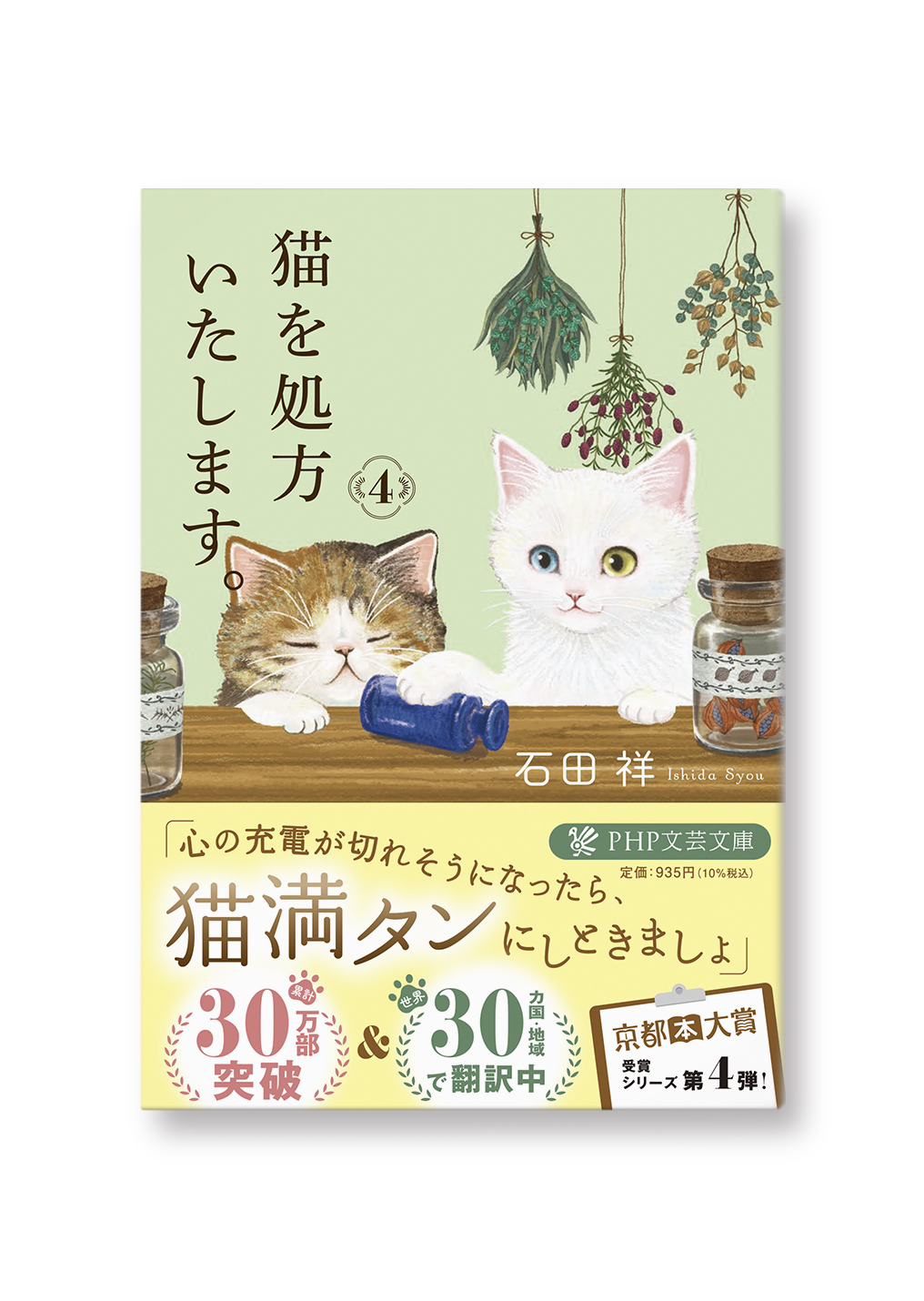 猫を処方いたします。4